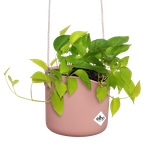 b.for swing 18cm rose poudré